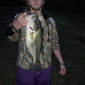 Meet your Posher, Nathaniel